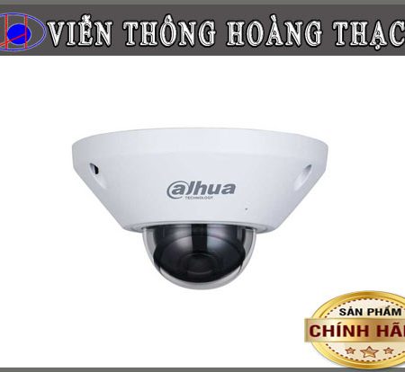 DH-IPC-EB5541P-AS