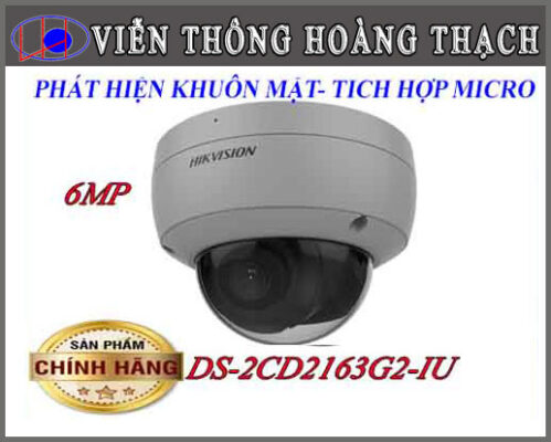 DS-2CD2163G2-IU
