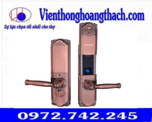 Khóa vân tay cổ điển sang trọng VR-HB9003